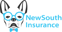 New South Logo